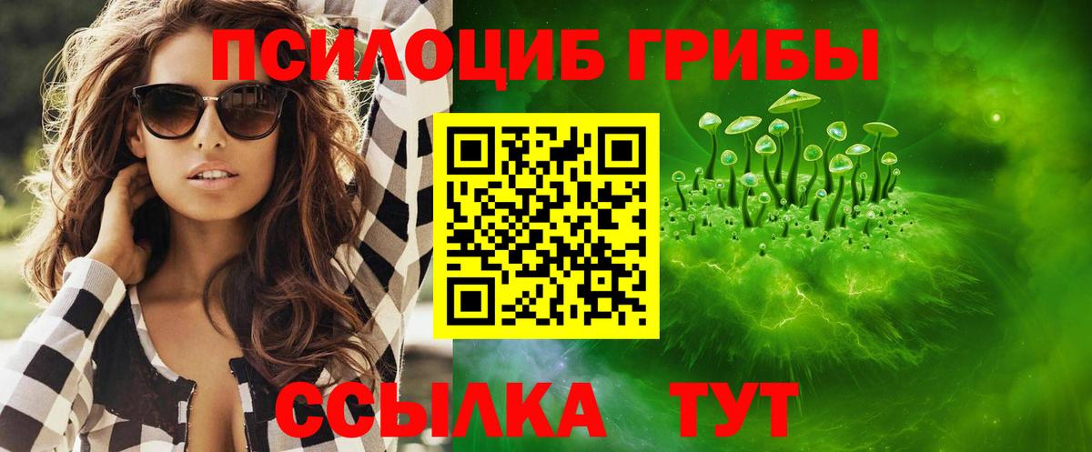 Псилоцибиновые грибы мицелий Пугачёв
